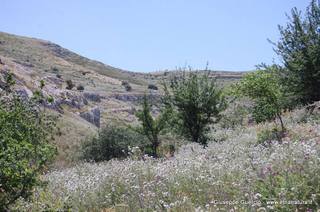 ntana Paradiso-15-05-2014 17-43-23